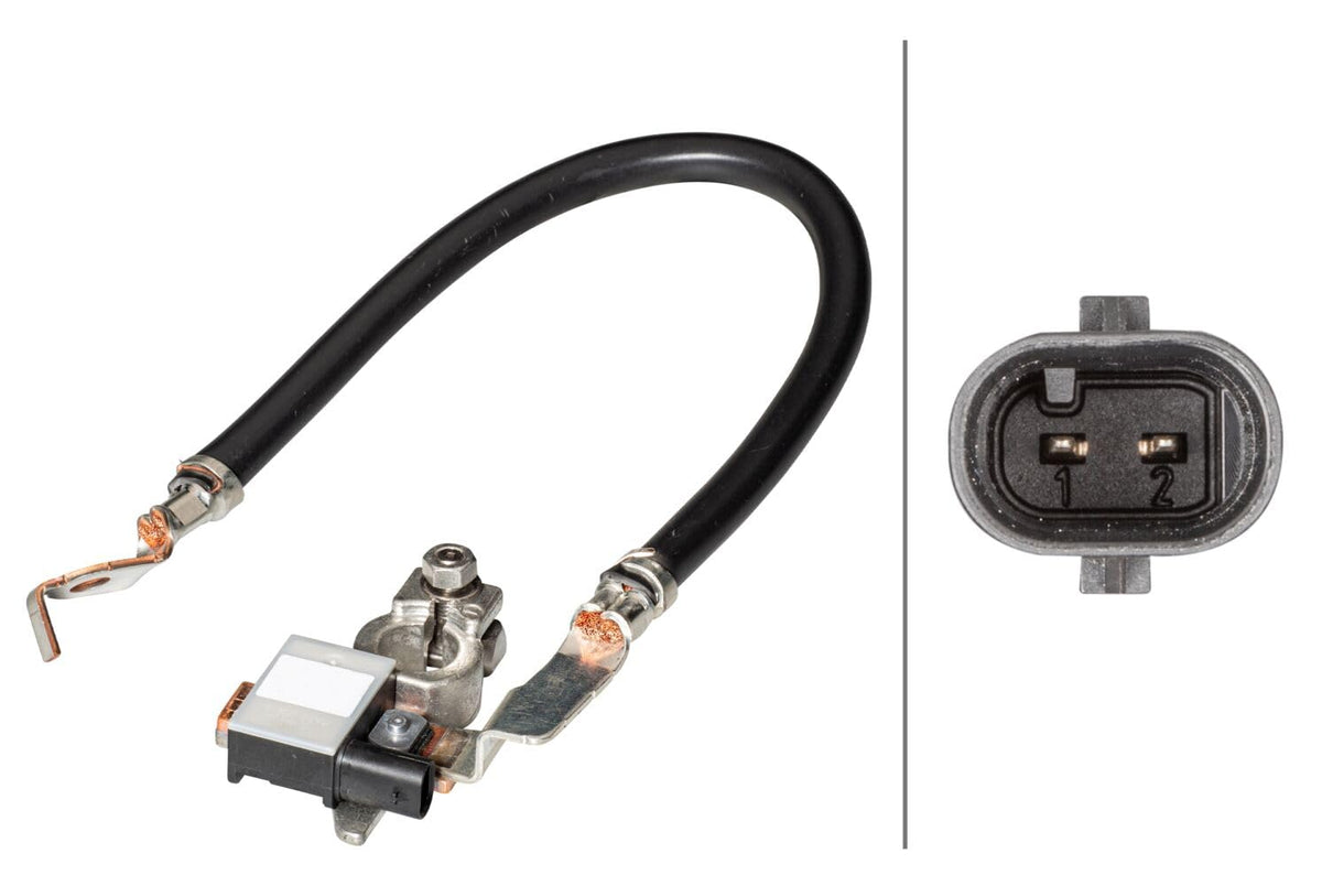 Hella 013442901 Intelligent Battery Sensor (IBS