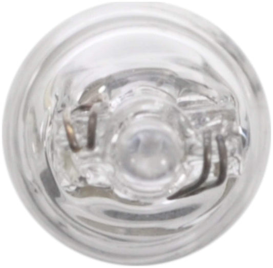 WAGNER BP24 Wagner Lighting BP24 Standard Multi-Purpose Light Bulb Card of 2