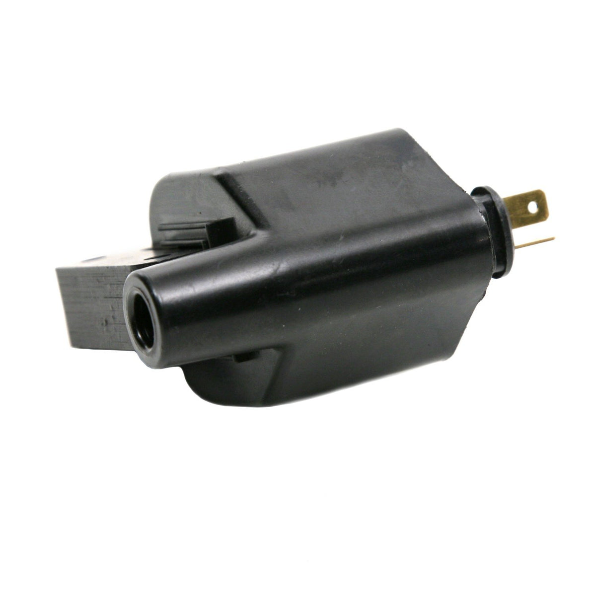 Delphi GN10170 IGNITION COIL