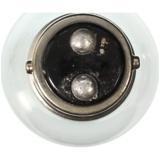 WAGNER 1142 Wagner Lighting 1142 Standard Multi-Purpose Light Bulb Box of 10
