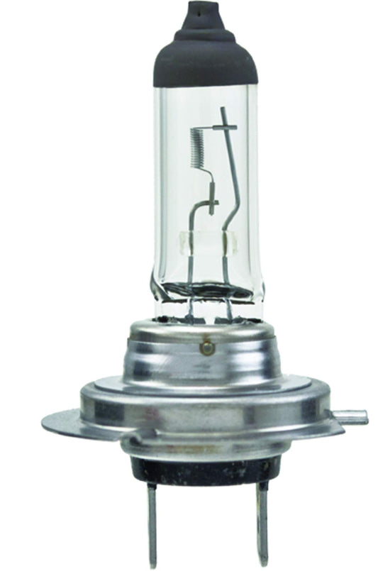 Hella H7 Standard Series Halogen Light Bulb, Single