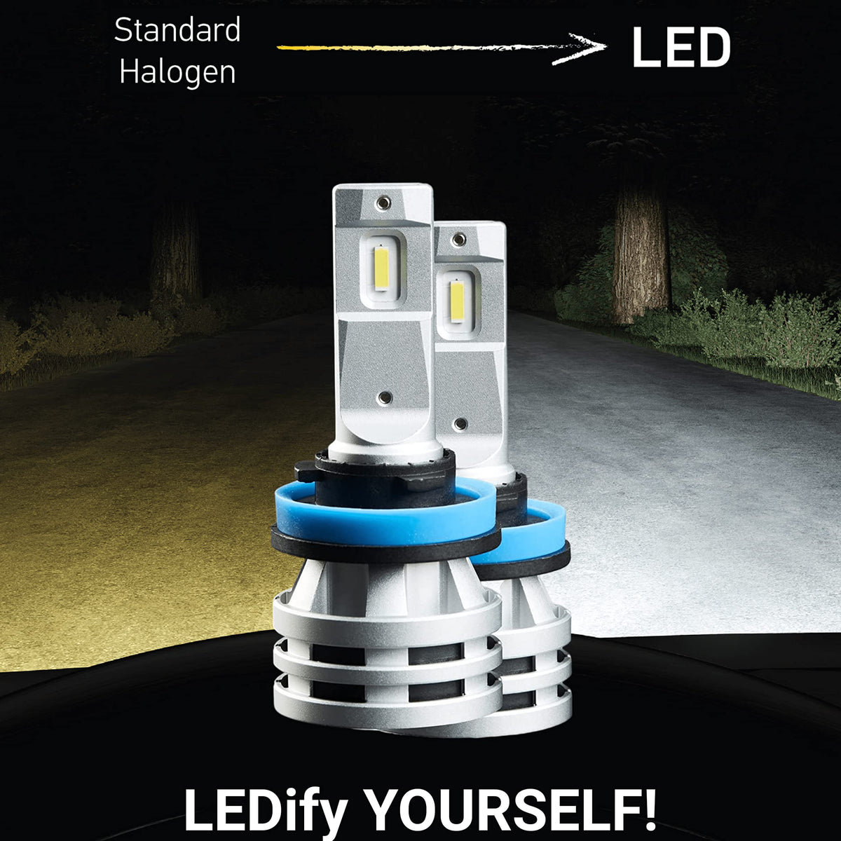 Hella 226971551 H11 / H8 / H16 LED Fog Light Bulb