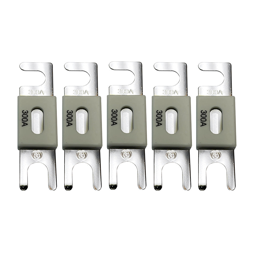 Victron CIP143300020 Victron ANL-Fuse 300A/80V f/48V Products (Package of 5) [CIP143300020]