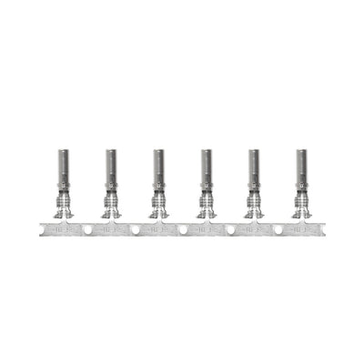 Pacer DTP Deutsch Socket f/10 AWG Wire - Size 12 Contact (25 Pack)