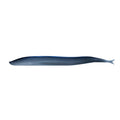 Berkley Gulp!&reg; Saltwater Sand Eel - 5" - Silver Mud
