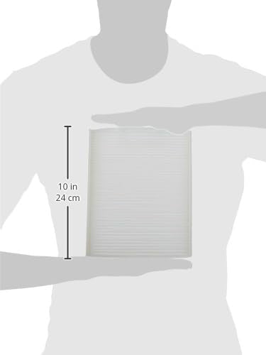 Motorcraft FP68 Cabin Air Filter, Original Version, 1 Count