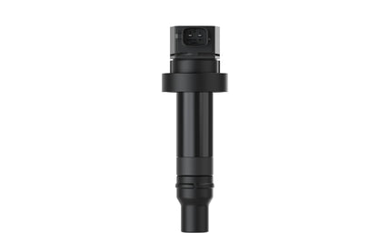 Hella 193175481 Ignition Coil, 2 Pin