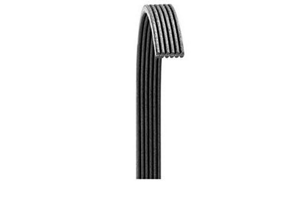 Dayco 5070539 Serpentine Belt