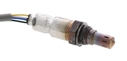 Motorcraft DY1292 Hego Sensor