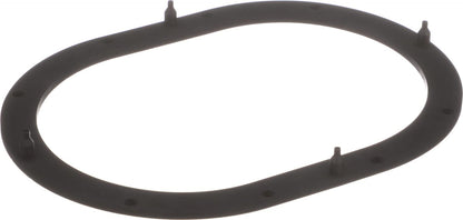 Delphi FA10039 FUEL PUMP TANK SEAL