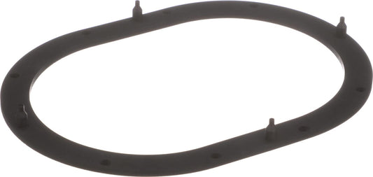 Delphi FA10039 FUEL PUMP TANK SEAL