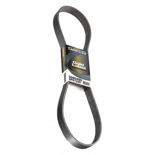 Dayco 5080495 FREIGHTLIN/INTLVIS 10/10.8L
