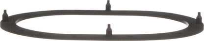 Delphi FA10039 FUEL PUMP TANK SEAL