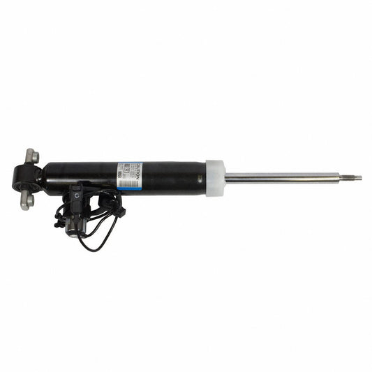 Motorcraft ASH24651 Shock Absorber Asy (P