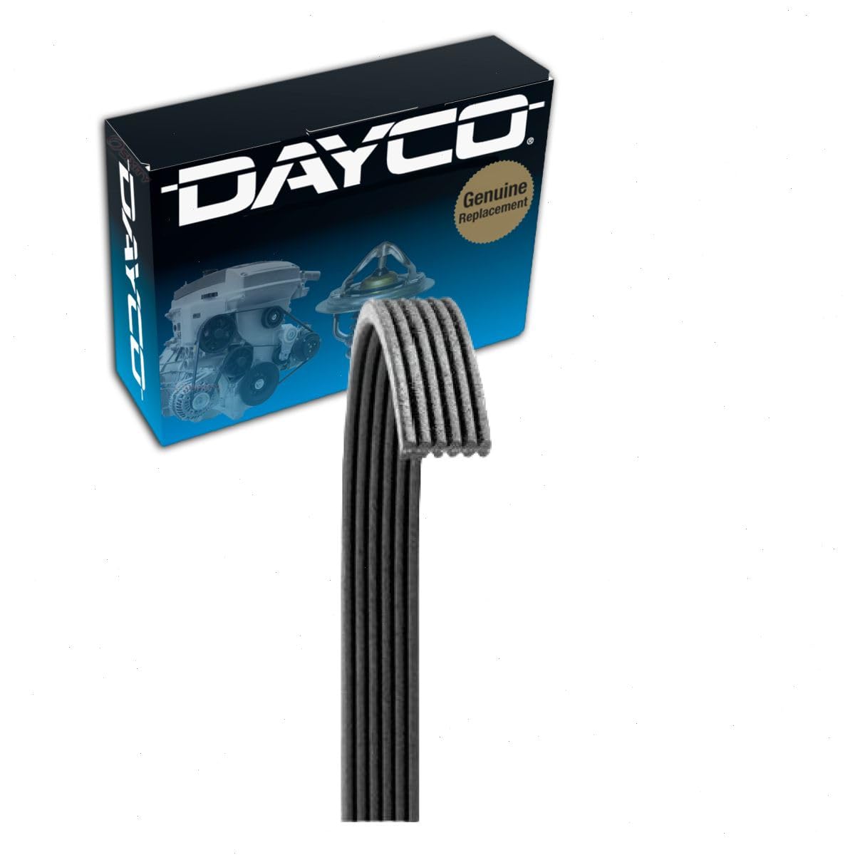 Dayco 6080557 Poly Rib Serpentine Belt
