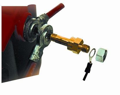 WIRTHCO 30500 WirthCo 30500 Battery Doctor Double Cable Side Terminal Bolt and Nut, GM Truck