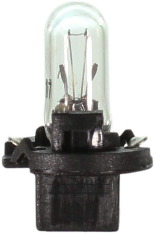 WAGNER PC37 Wagner Lighting PC37 Standard Multi-Purpose Light Bulb Box of 10