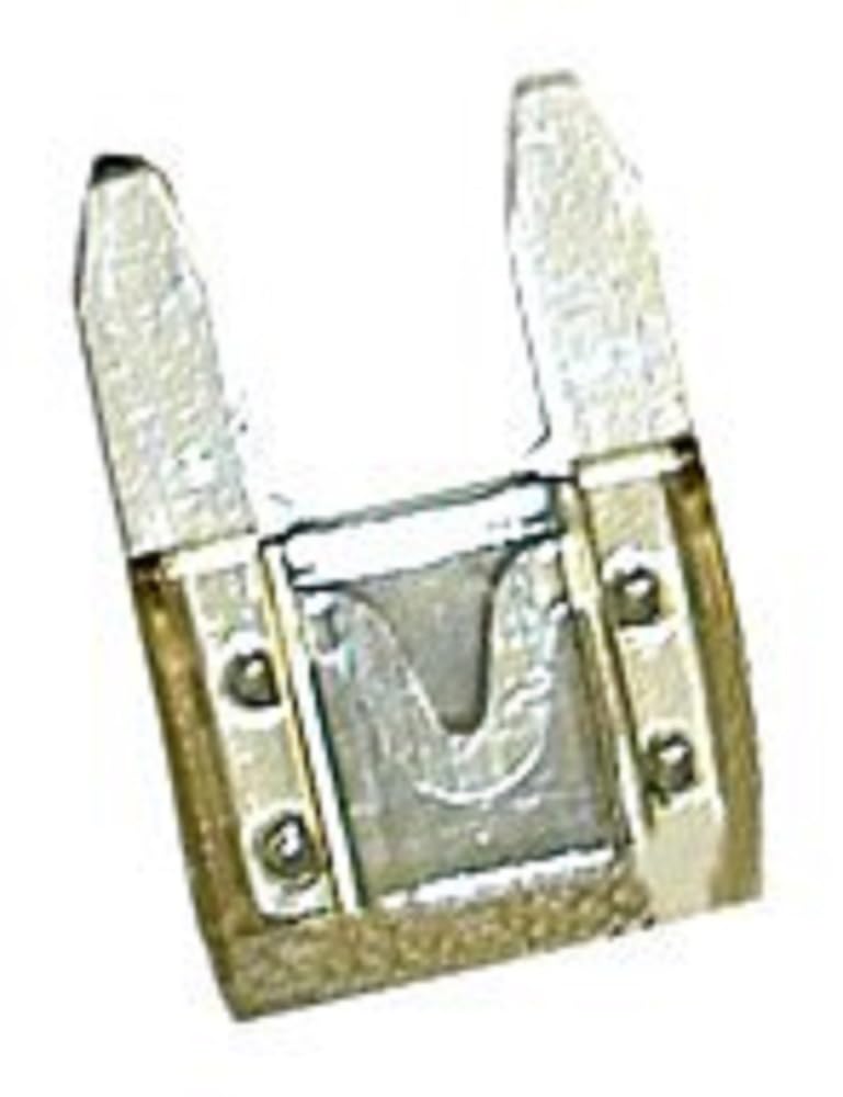 CAMCO 65151 Camco 65151 Clear 25 AMP Mini-Blade Fuse - Pack of 2