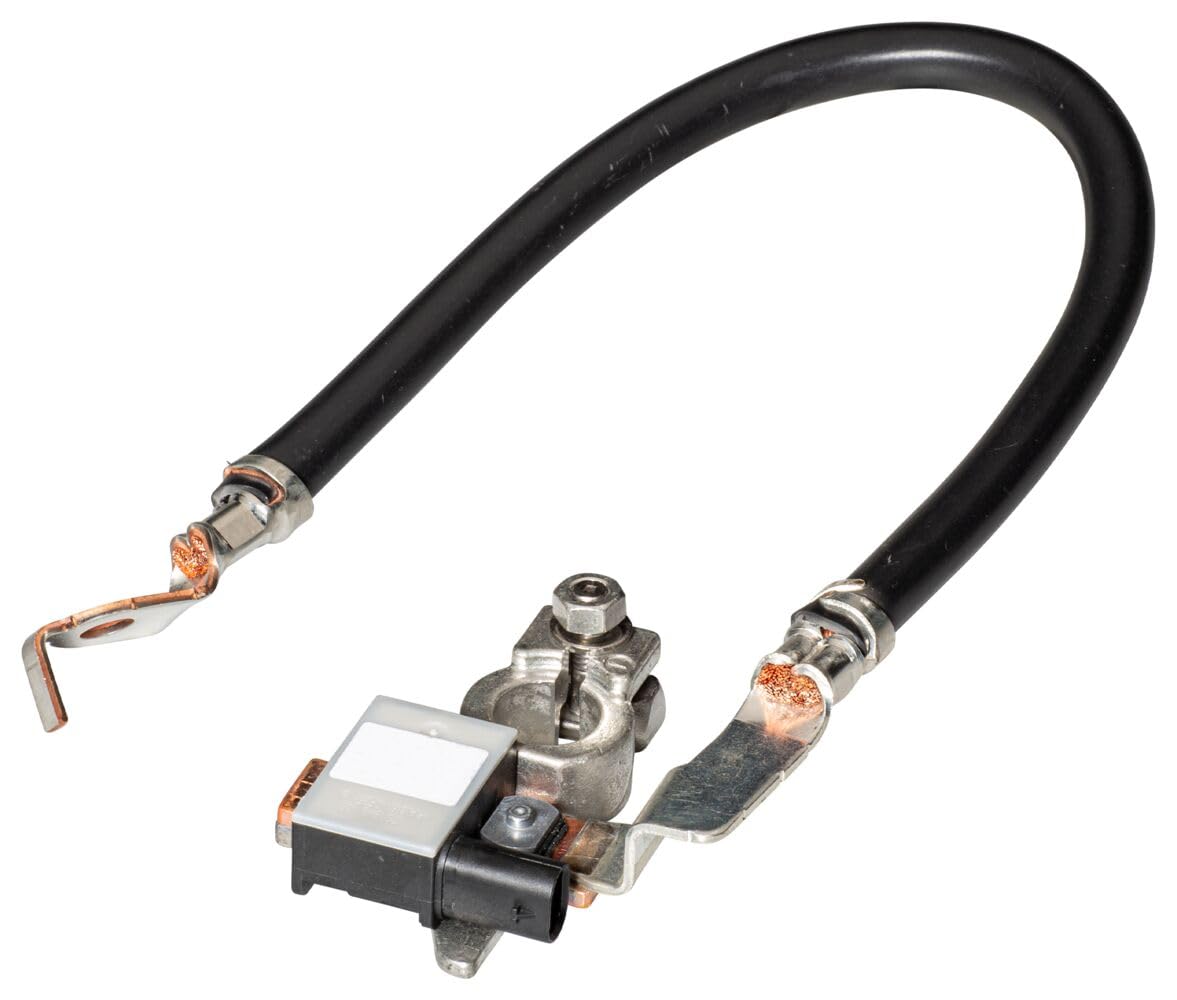 Hella 013442901 Intelligent Battery Sensor (IBS