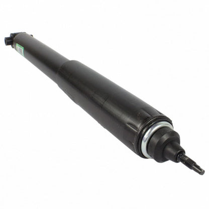 Motorcraft ASH24539 Shock Absorber Asy (P