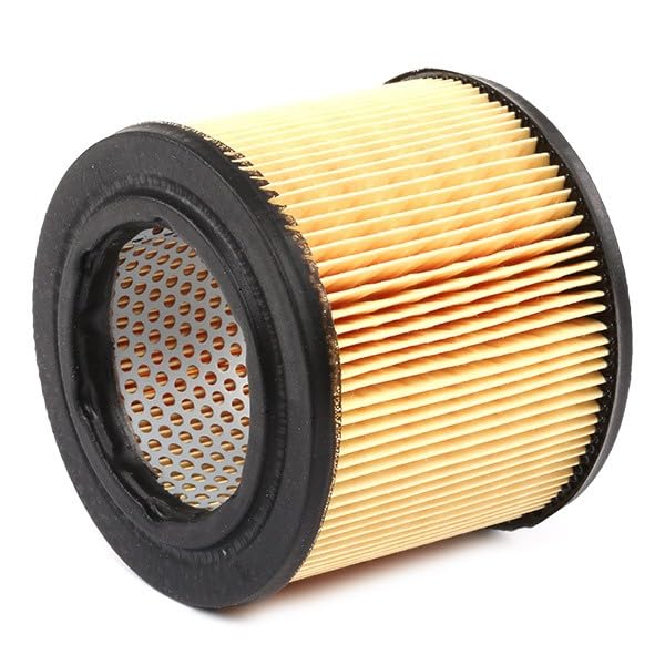 Mahle LX194 LX 194 Air Filter, standard