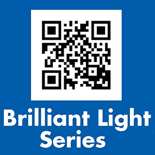 AP PRODUCTS 016-BL3003 Starlights BL-3003 Dual LED Interior Ceiling Fixture Replacement