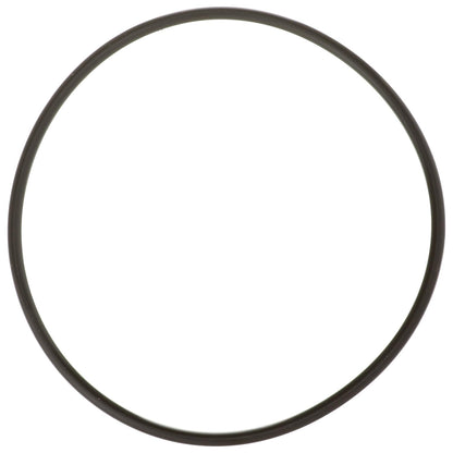 Delphi FA10036 FUEL PUMP TANK SEAL