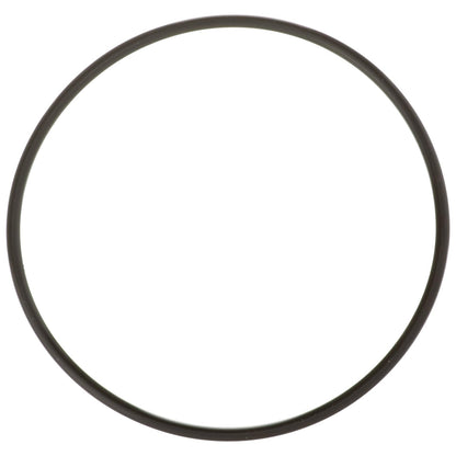 Delphi FA10036 FUEL PUMP TANK SEAL