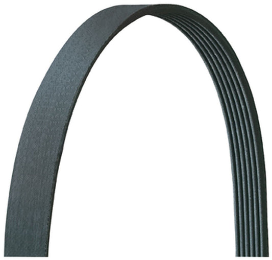 Dayco 5061185DR V-RIBBED BELT