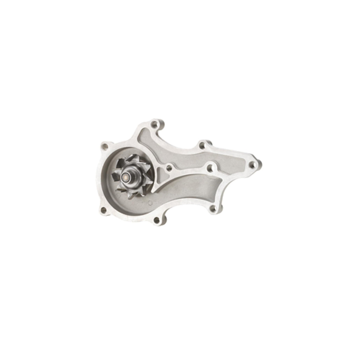 DAYCO DP982 Dayco DP982 WATER PUMP KIT