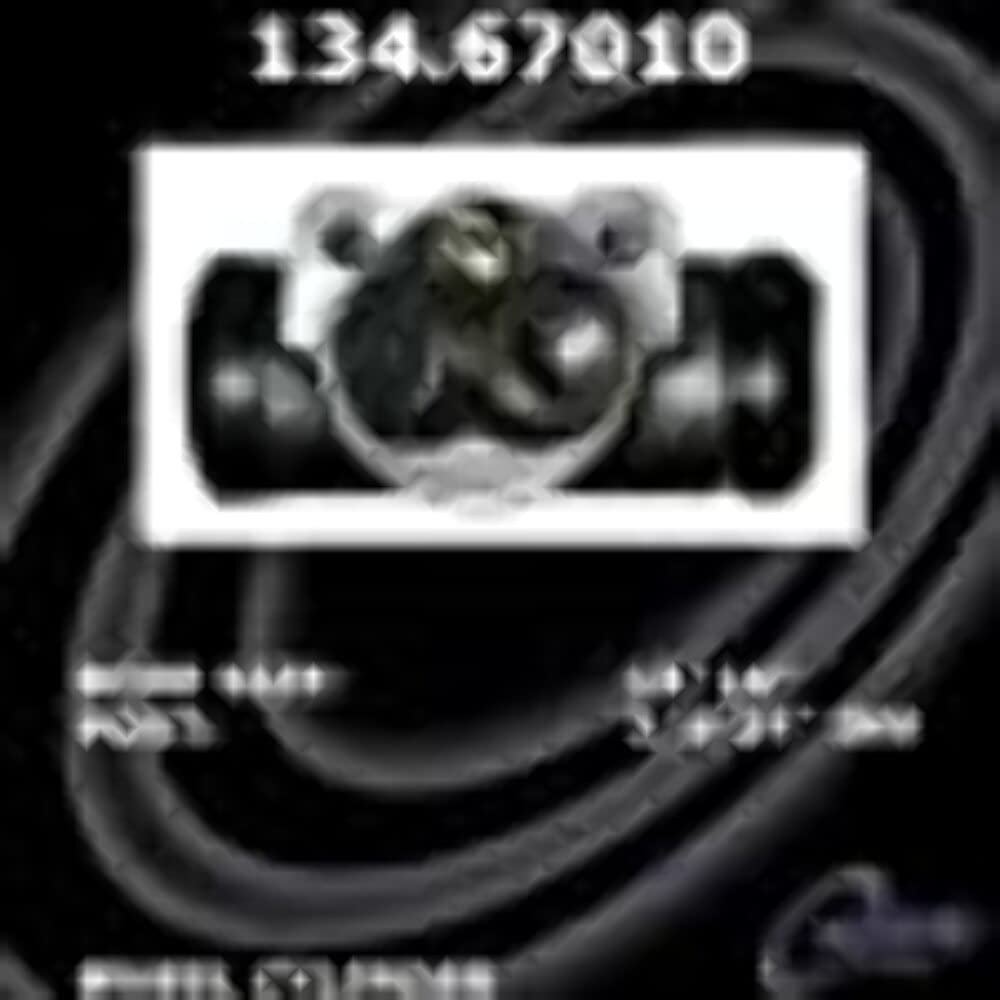 CENTRIC PARTS 134.67010 Centric 134.67010 Centric Premium Wheel Cylinder