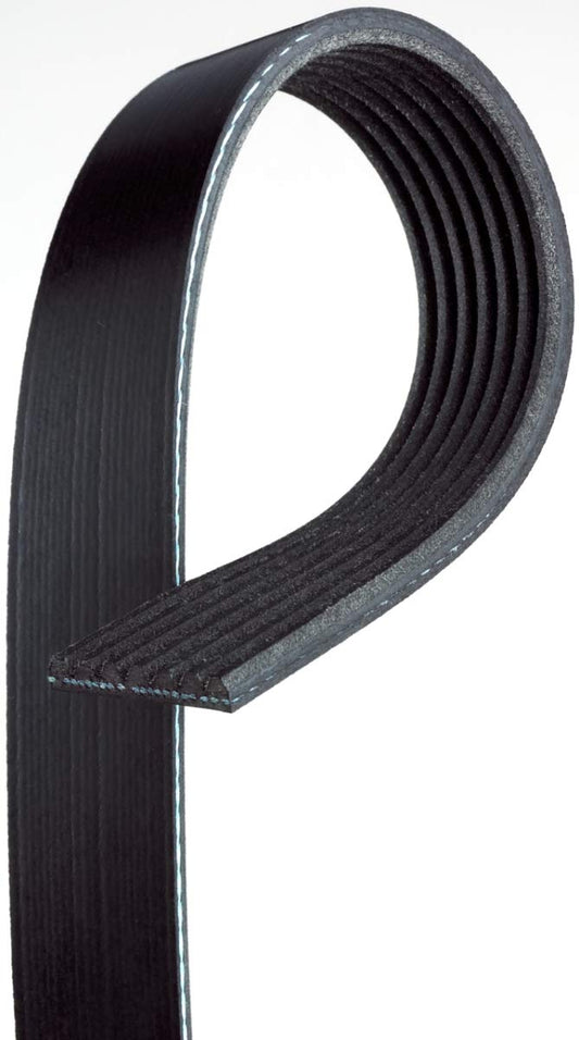 Dayco 5080515 JAGUAR 4L