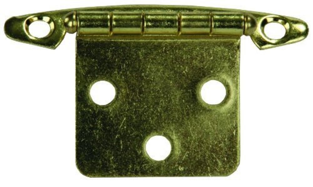 JR PRODUCTS 70615 JR Products 70615 Free Swing Flush Mount Hinge - Brass