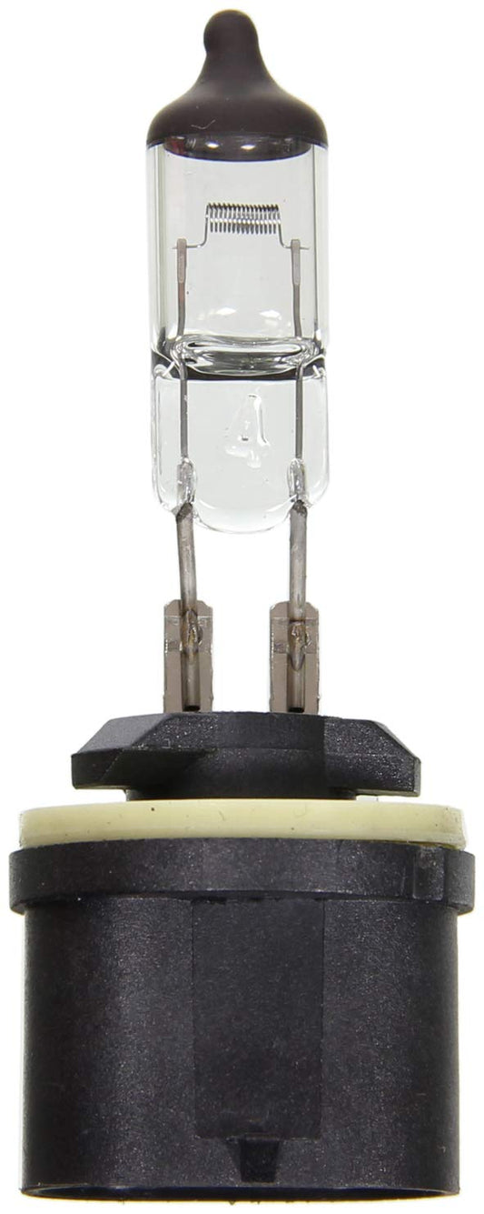 WAGNER BP899 Wagner Lighting BP899 Standard Multi-Purpose Light Bulb Card of 1