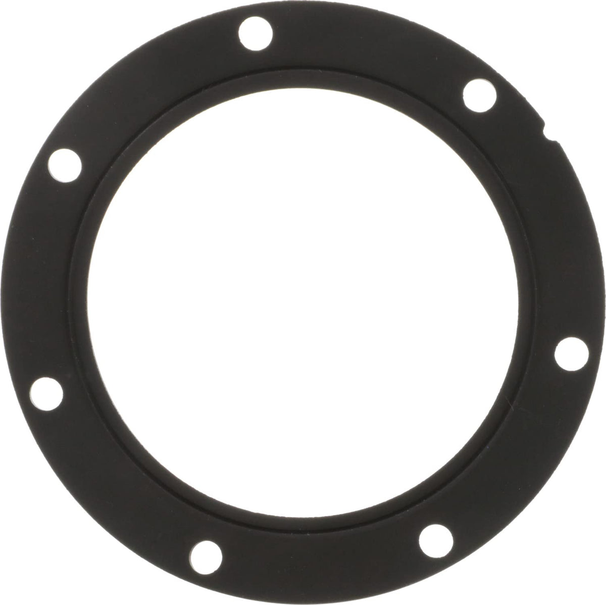 Delphi FA10038 FUEL PUMP TANK SEAL