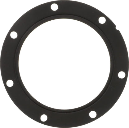 Delphi FA10038 FUEL PUMP TANK SEAL