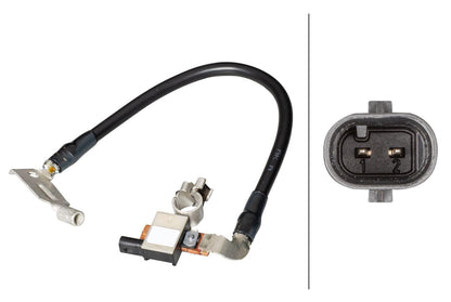 Hella 013288911 Intelligent Battery Sensor (IBS