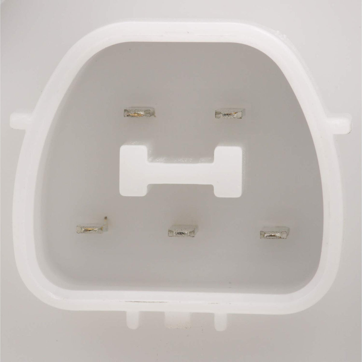 Delphi FG0956 Fuel Pump Module Assembly
