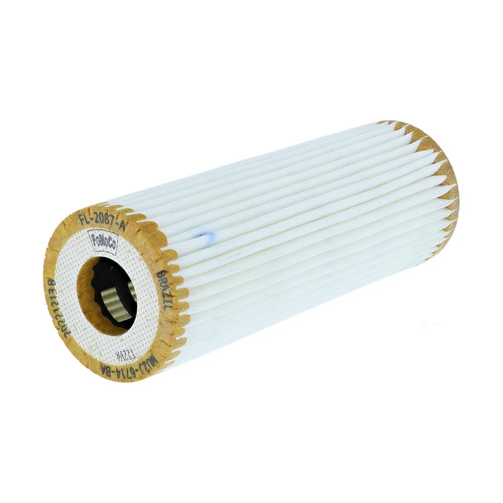 Motorcraft FL2087A Oil Filter (6