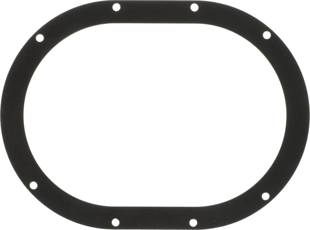 Delphi FA10039 FUEL PUMP TANK SEAL