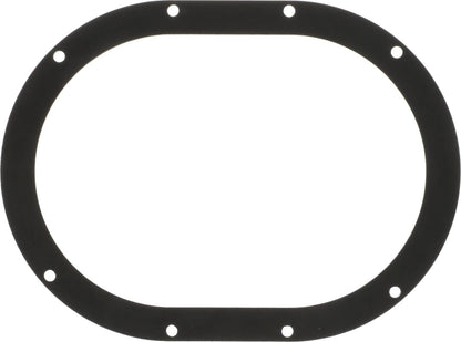 Delphi FA10039 FUEL PUMP TANK SEAL