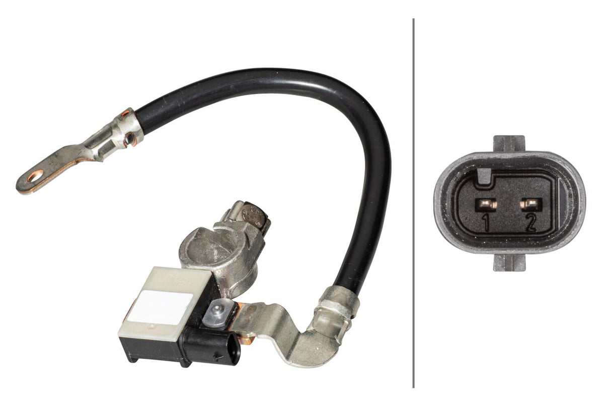 Hella 010840911 Intelligent Battery Sensor (IBS