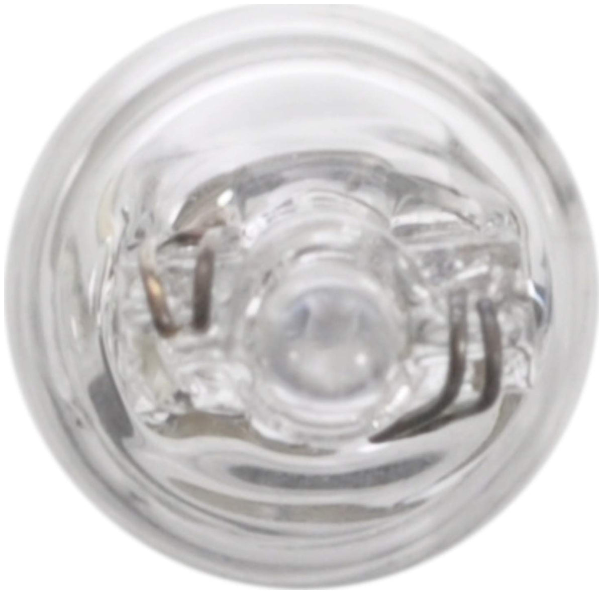 WAGNER BP24 Wagner Lighting BP24 Standard Multi-Purpose Light Bulb Card of 2