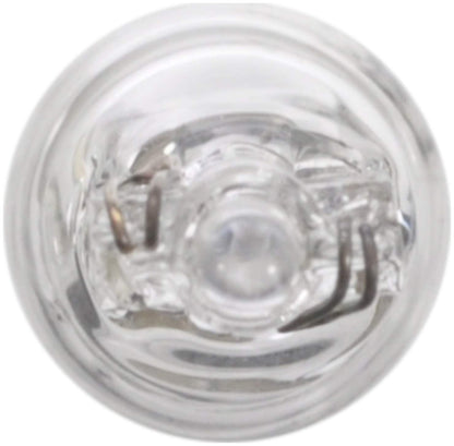 WAGNER BP24 Wagner Lighting BP24 Standard Multi-Purpose Light Bulb Card of 2