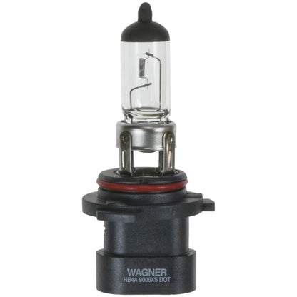 WAGNER BP9006XS Wagner Lighting BP9006XS Standard Multi-Purpose Light Bulb Card of 1