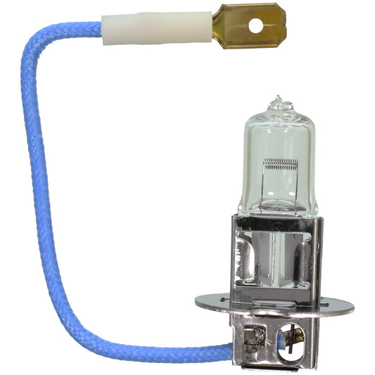 WAGNER BP1210/H3 Wagner Lighting BP1210/H3 Multi-Purpose Light Bulb Card of 1