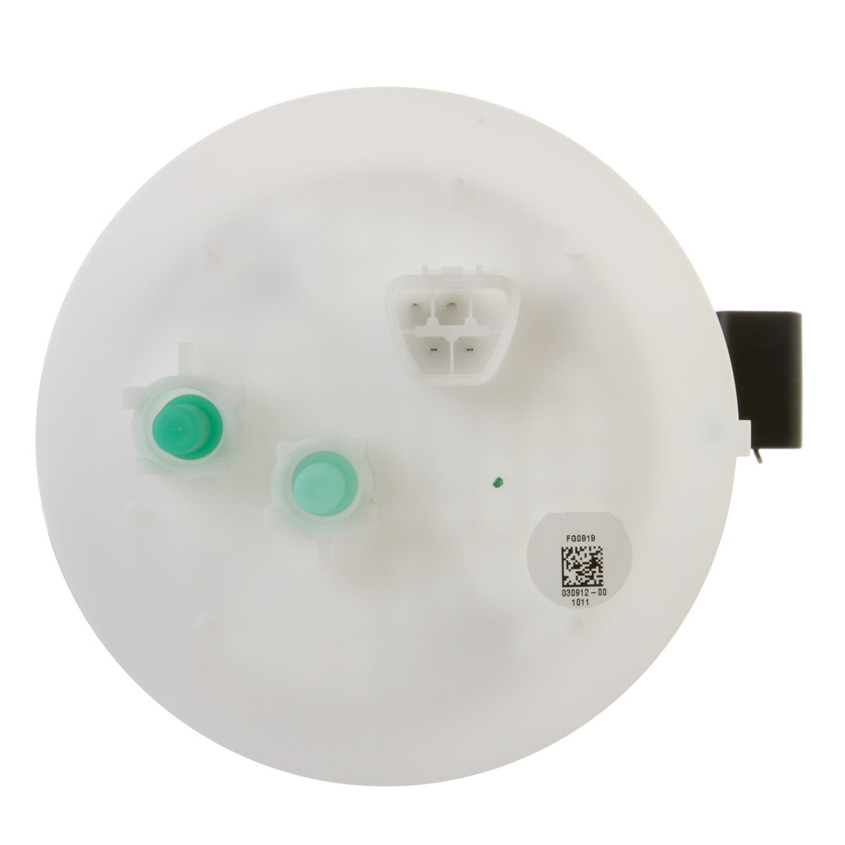 Delphi FG0919 FUEL PUMP MODULE ASSEMBLY
