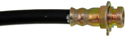 DORMAN H80024 Dorman H80024 Rear Center Brake Hydraulic Hose