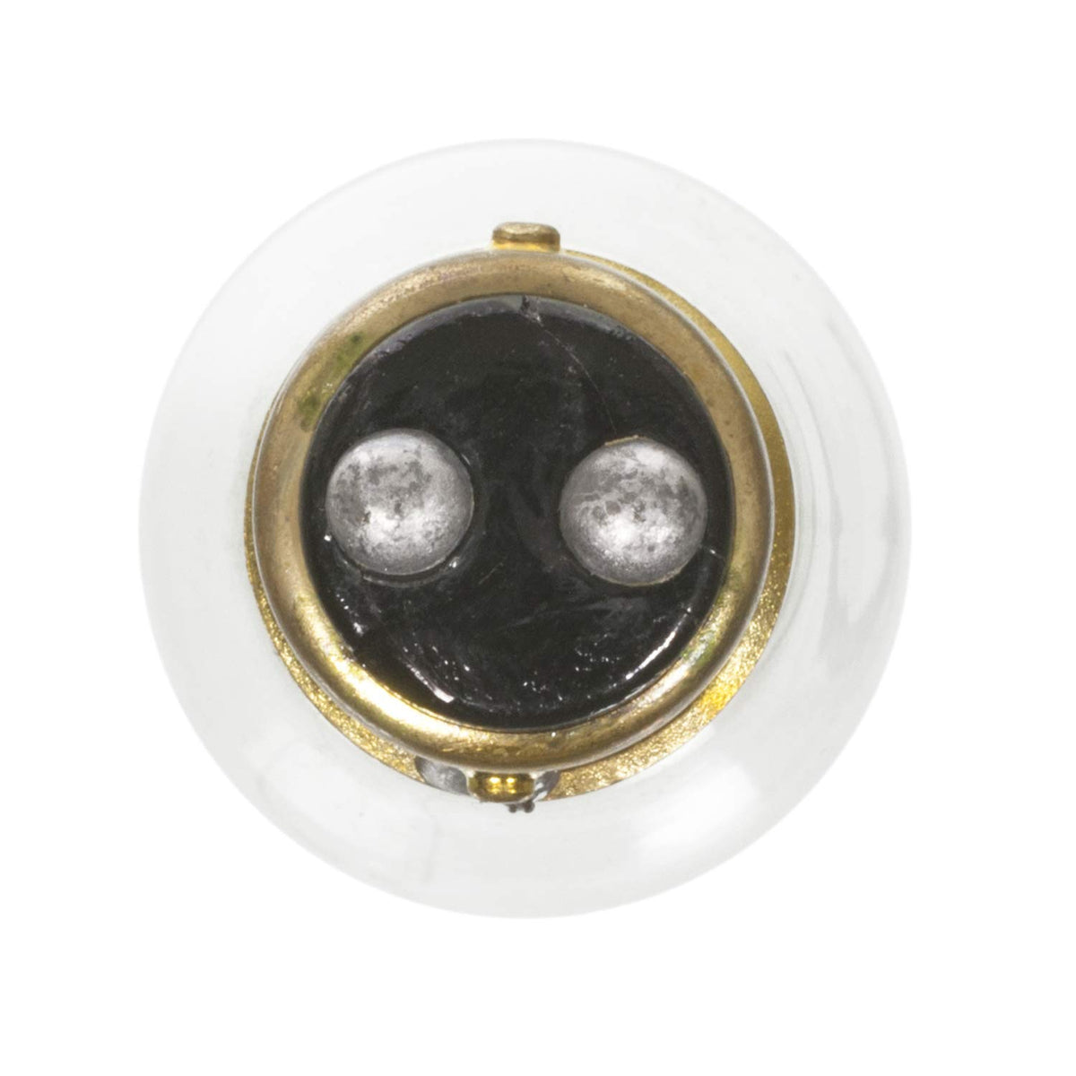 WAGNER BP1157 Wagner Lighting BP1157 Standard Multi-Purpose Light Bulb Card of 2