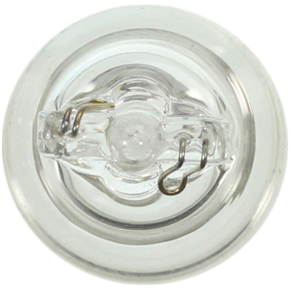 WAGNER 917 Wagner Lighting 917 Standard Multi-Purpose Light Bulb Box of 10